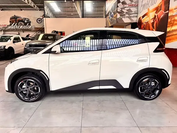 BYD Dolphin Mini - Imagem 11