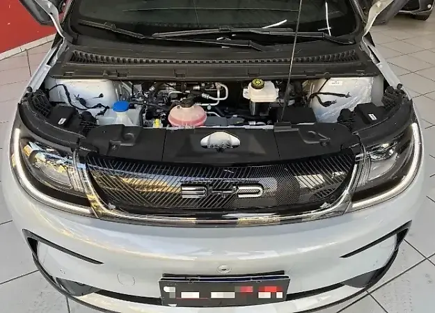 BYD Dolphin Plus - Imagem 19