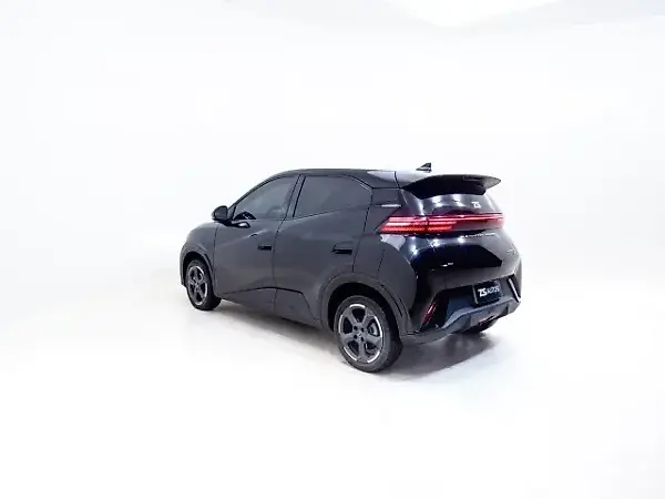 BYD Dolphin Mini - Imagem 11