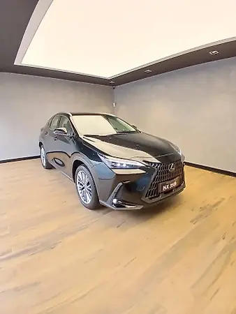 Lexus Nx - Imagem 1