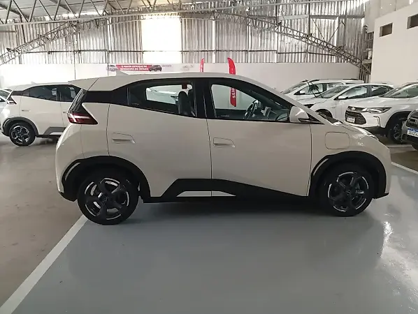 BYD Dolphin Mini - Imagem 8