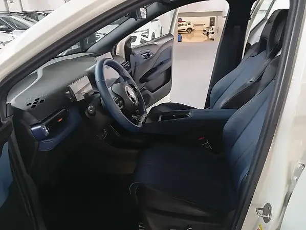 BYD Dolphin Mini - Imagem 12