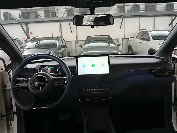 BYD Dolphin Mini - Imagem 14
