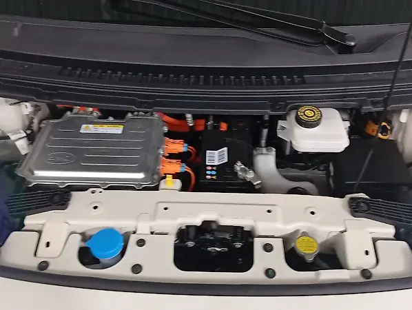 BYD Dolphin Mini - Imagem 15