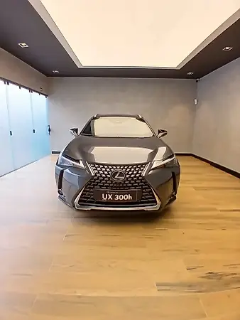 Lexus Ux 300e - Imagem 2