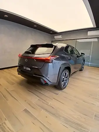 Lexus Ux 300e - Imagem 7