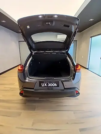 Lexus Ux 300e - Imagem 6