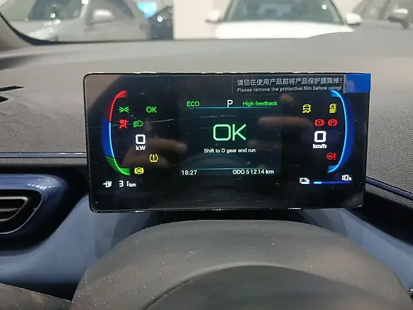 BYD Dolphin Mini - Imagem 13