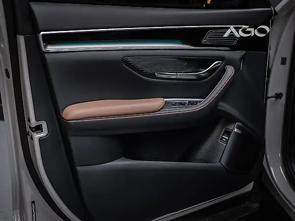 BYD Song Plus - Imagem 10