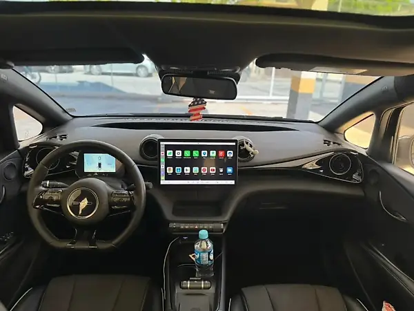BYD Dolphin Plus - Imagem 13