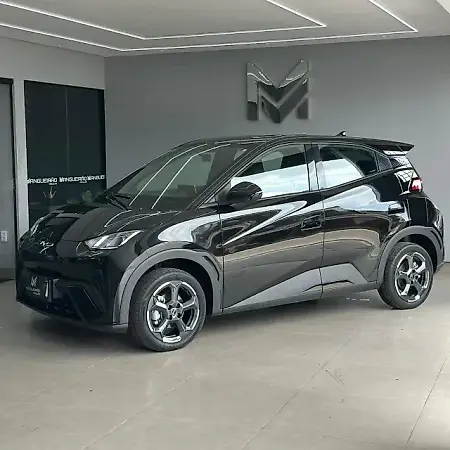BYD Dolphin Mini - Imagem 2