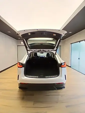 Lexus Nx - Imagem 6