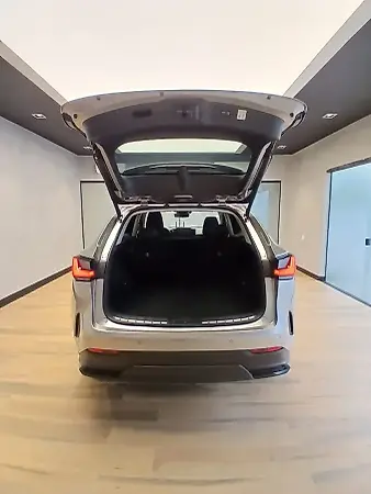 Lexus Nx 450h+ - Imagem 6