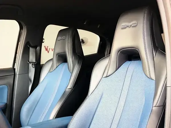 BYD Dolphin Mini - Imagem 6