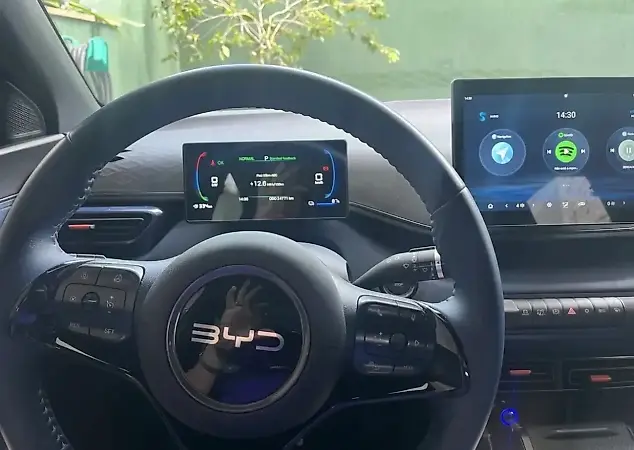 BYD Dolphin Mini - Imagem 12