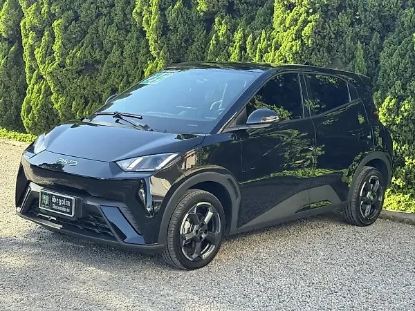 BYD Dolphin Mini - Imagem 2