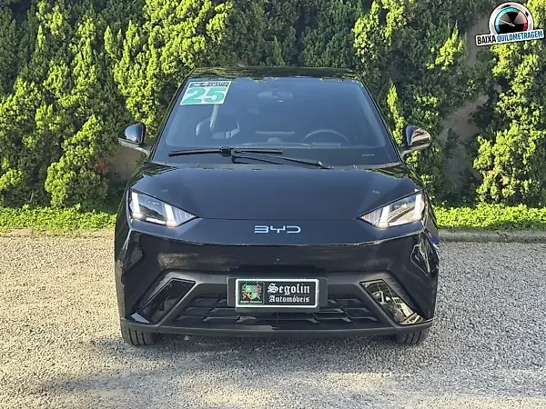 BYD Dolphin Mini - Imagem 1