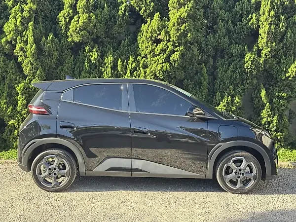 BYD Dolphin Mini - Imagem 4