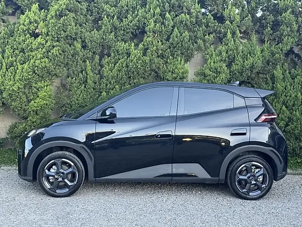 BYD Dolphin Mini - Imagem 6