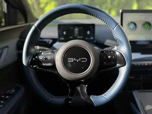 BYD Dolphin Mini - Imagem 15