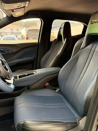 BYD Dolphin Mini - Imagem 8