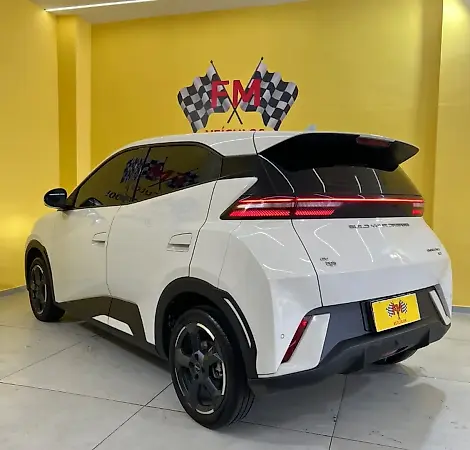 BYD Dolphin Mini - Imagem 4