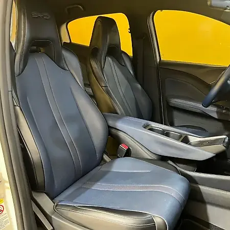 BYD Dolphin Mini - Imagem 9