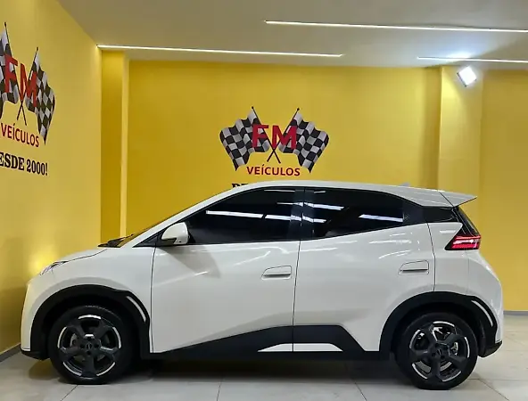 BYD Dolphin Mini - Imagem 12