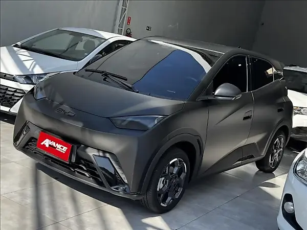 BYD Dolphin Mini - Imagem 14