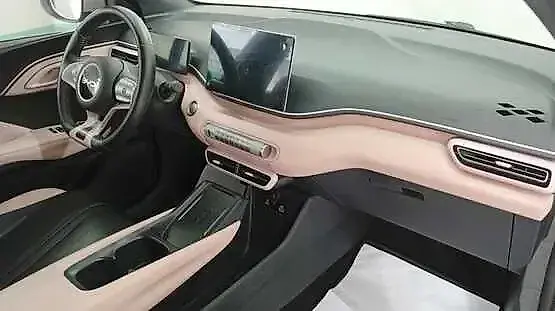 BYD Dolphin Mini - Imagem 9
