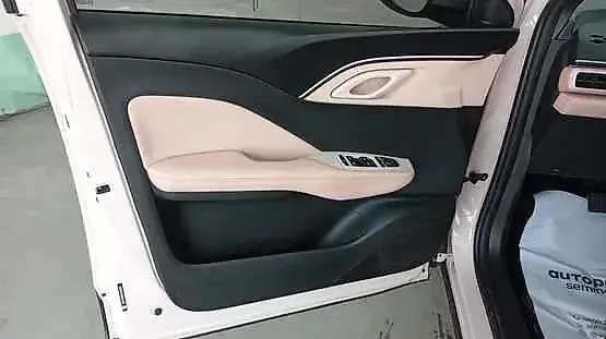 BYD Dolphin Mini - Imagem 10