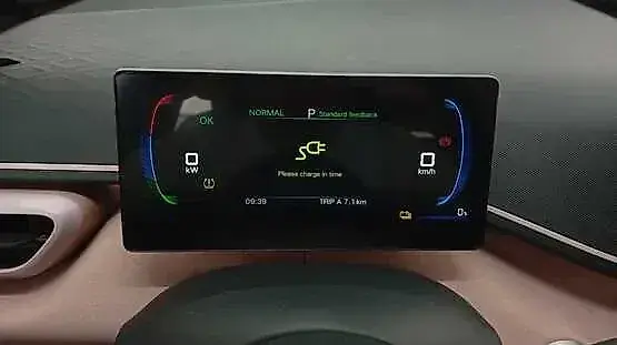 BYD Dolphin Mini - Imagem 11