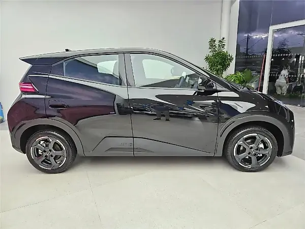 BYD Dolphin - Imagem 2