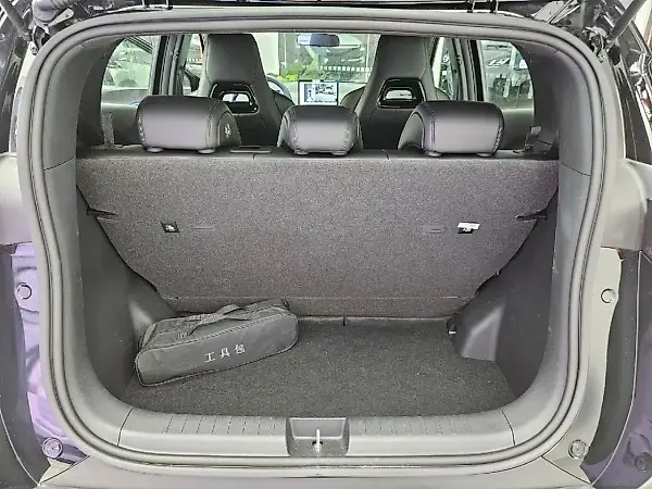BYD Dolphin - Imagem 12