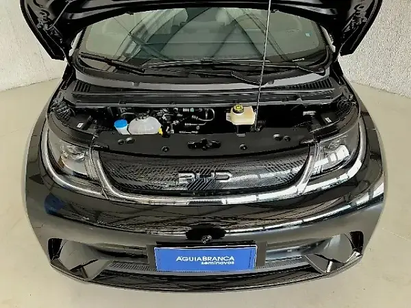BYD Dolphin - Imagem 19