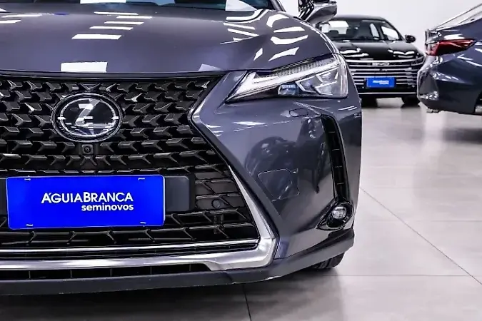 Lexus Ux 300e - Imagem 6