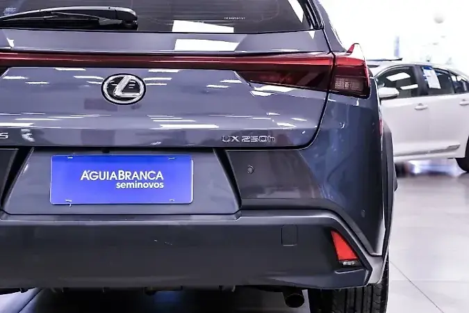 Lexus Ux 300e - Imagem 20