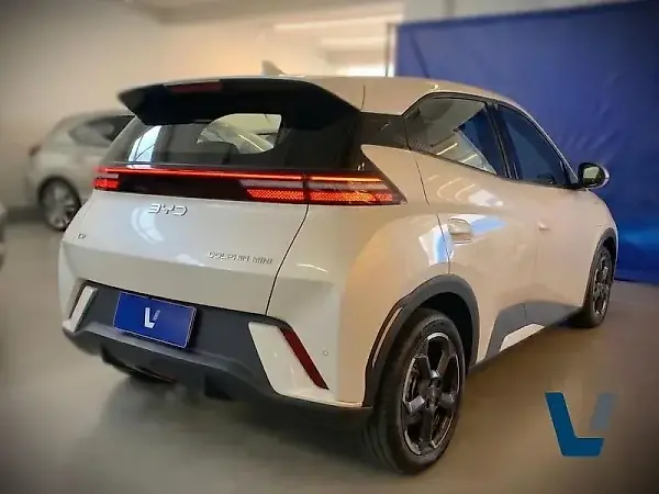 BYD Dolphin Mini - Imagem 2