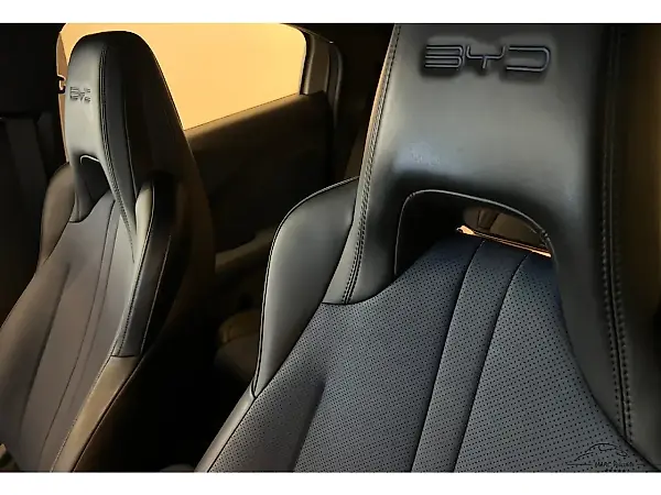 BYD Dolphin Mini - Imagem 9