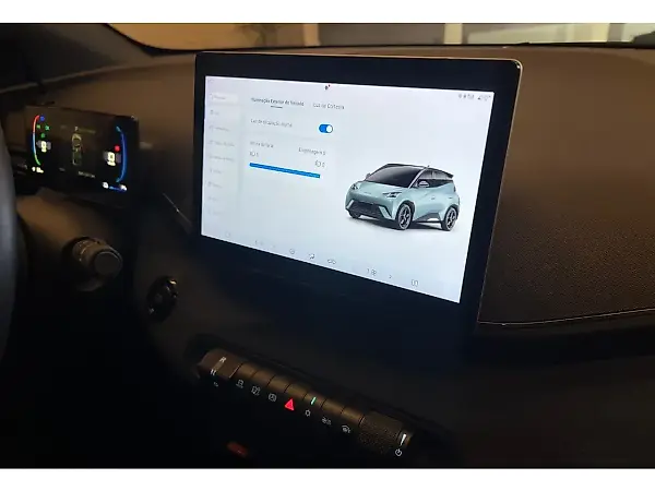 BYD Dolphin Mini - Imagem 11