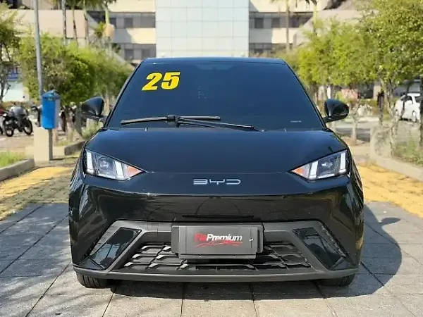 BYD Dolphin Mini - Imagem 5