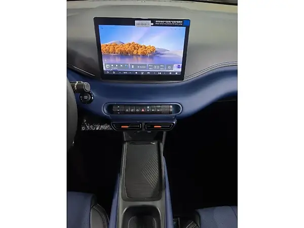 BYD Dolphin Mini - Imagem 10