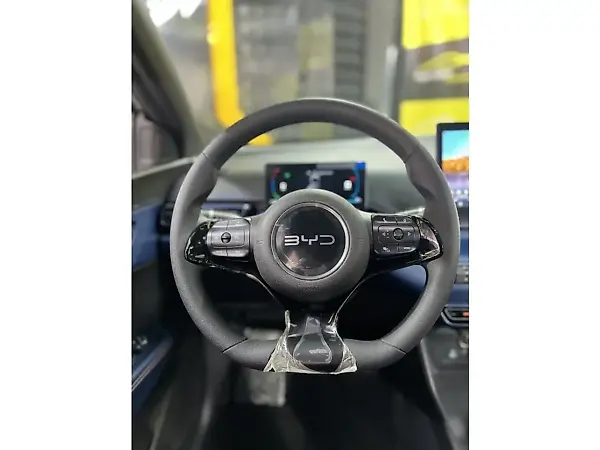 BYD Dolphin Mini - Imagem 14