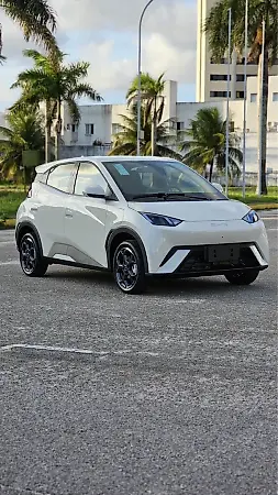 BYD Dolphin Mini - Imagem 7