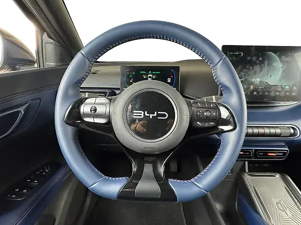 BYD Dolphin Mini - Imagem 11