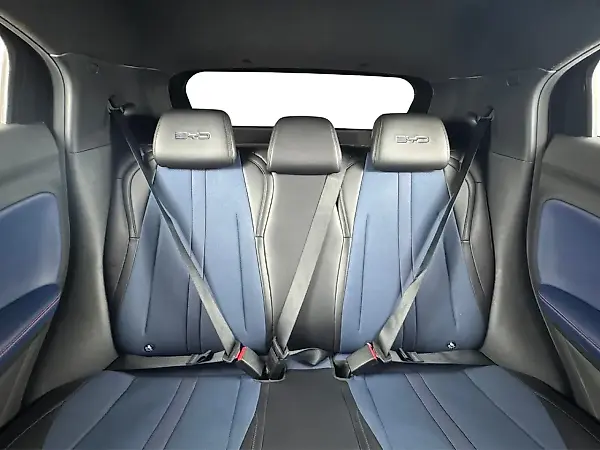 BYD Dolphin Mini - Imagem 15