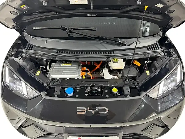 BYD Dolphin Mini - Imagem 18