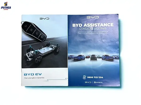 BYD Dolphin Mini - Imagem 20
