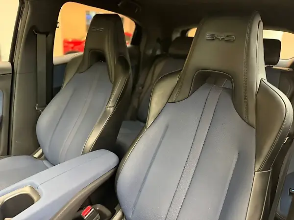 BYD Dolphin Mini - Imagem 9