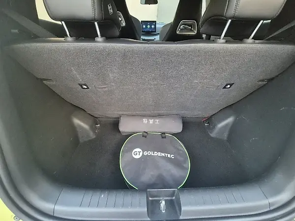BYD Dolphin Mini - Imagem 12